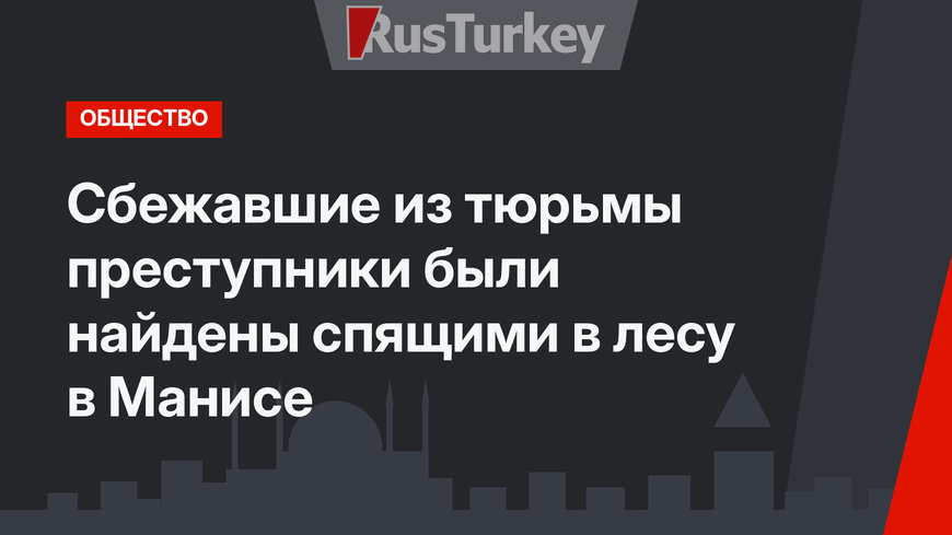Сбежавшие из тюрьмы преступники были найдены спящими в лесу в Манисе