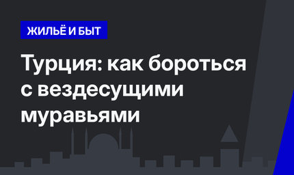 Турция: как бороться с вездесущими муравьями 