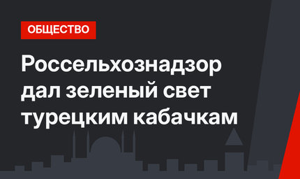 Россельхознадзор дал зеленый свет турецким кабачкам