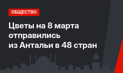 Цветы на 8 марта отправились из Антальи в 48 стран