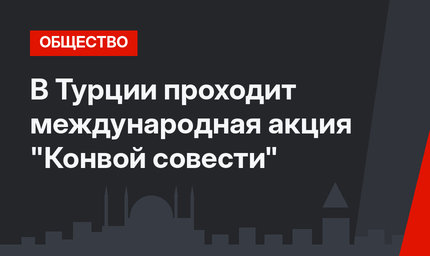 В Турции проходит международная акция "Конвой совести"