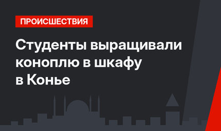Студенты выращивали коноплю в шкафу в Конье