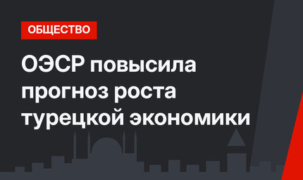 ОЭСР повысила прогноз роста турецкой экономики