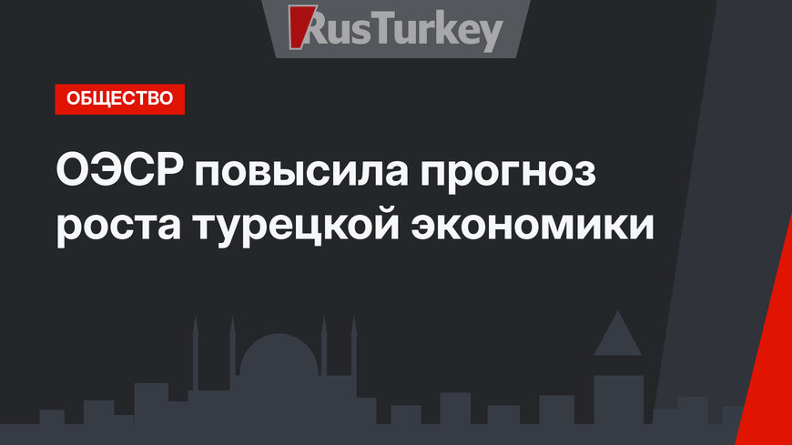 ОЭСР повысила прогноз роста турецкой экономики
