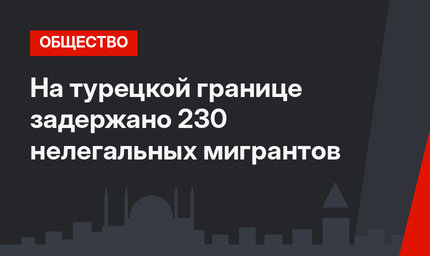 На турецкой границе задержано 230 нелегальных мигрантов