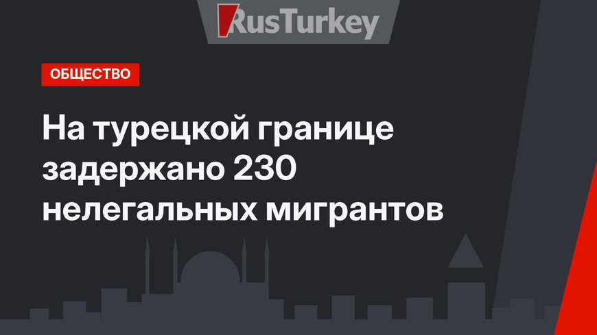 На турецкой границе задержано 230 нелегальных мигрантов