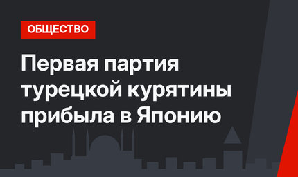 Первая партия турецкой курятины прибыла в Японию