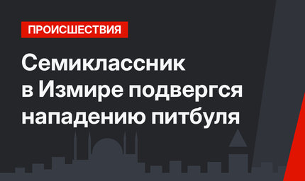 Семиклассник в Измире подвергся нападению питбуля