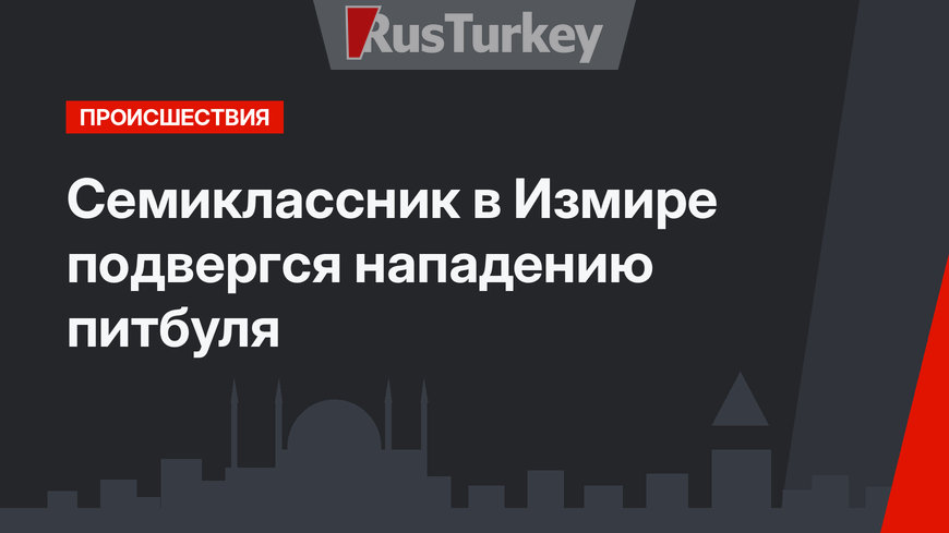 Семиклассник в Измире подвергся нападению питбуля