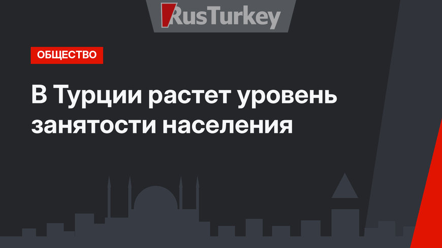В Турции растет уровень занятости населения