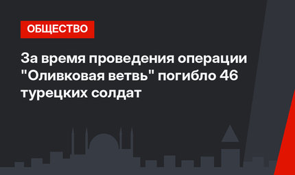 За время проведения операции "Оливковая ветвь" погибло 46 турецких солдат