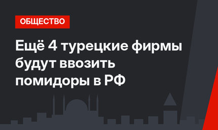 Ещё 4 турецкие фирмы будут ввозить помидоры в РФ