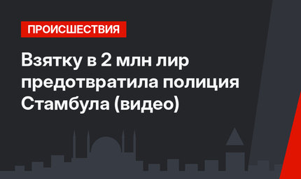 Взятку в 2 млн лир предотвратила полиция Стамбула (видео)