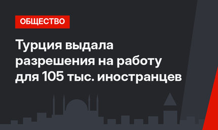 Турция выдала разрешения на работу для 105 тыс. иностранцев