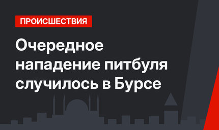 Очередное нападение питбуля случилось в Бурсе