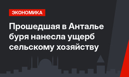 Прошедшая в Анталье буря нанесла ущерб сельскому хозяйству