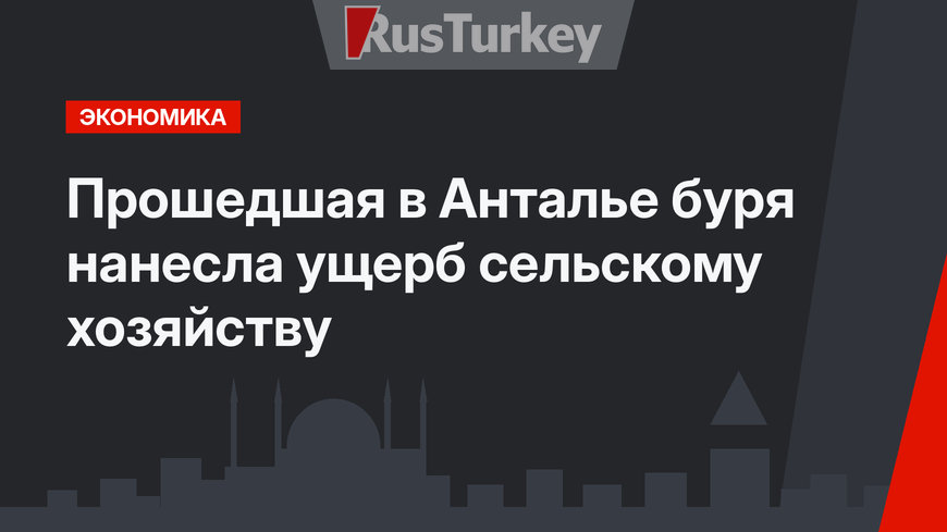 Прошедшая в Анталье буря нанесла ущерб сельскому хозяйству