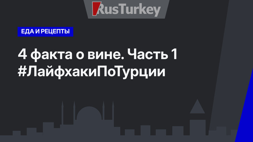 4 факта о вине. Часть 1 #ЛайфхакиПоТурции