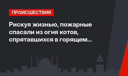 Рискуя жизнью, пожарные спасали из огня котов, спрятавшихся в горящем здании