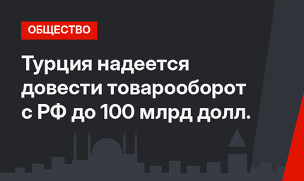 Турция надеется довести товарооборот с РФ до 100 млрд долл.