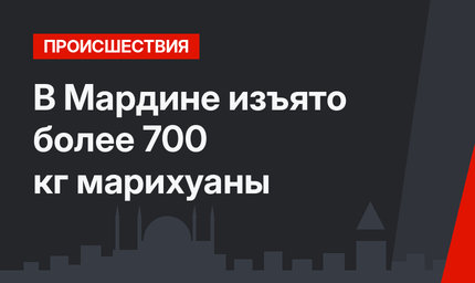 В Мардине изъято более 700 кг марихуаны