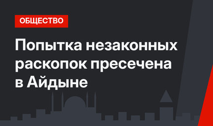Попытка незаконных раскопок пресечена в Айдыне