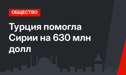 Турция помогла Сирии на 630 млн долл