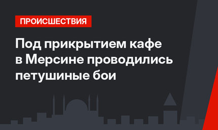 Под прикрытием кафе в Мерсине проводились петушиные бои