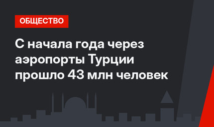 С начала года через аэропорты Турции прошло 43 млн человек