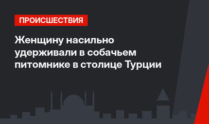 Женщину насильно удерживали в собачьем питомнике в столице Турции