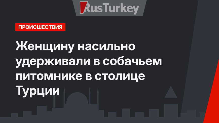 Женщину насильно удерживали в собачьем питомнике в столице Турции