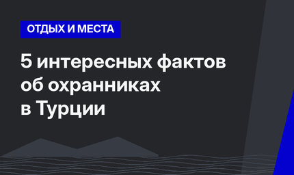 5 интересных фактов об охранниках в Турции