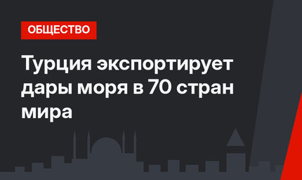 Турция экспортирует дары моря в 70 стран мира