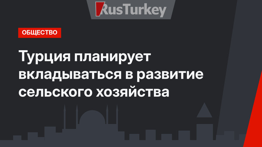 Турция планирует вкладываться в развитие сельского хозяйства