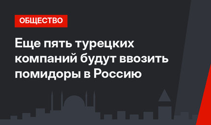 Еще пять турецких компаний будут ввозить помидоры в Россию
