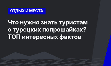 Что нужно знать туристам о турецких попрошайках? ТОП интересных фактов