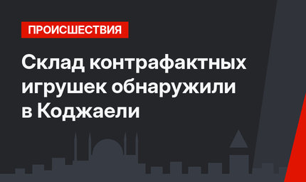 Склад контрафактных игрушек обнаружили в Коджаели