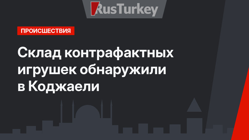 Склад контрафактных игрушек обнаружили в Коджаели