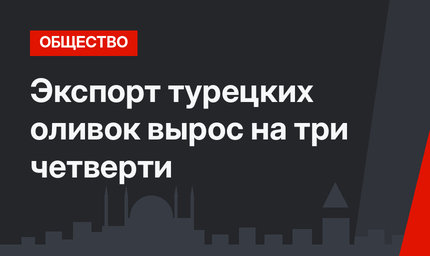 Экспорт турецких оливок вырос на три четверти