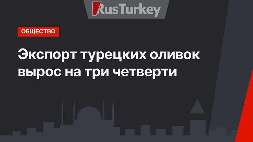 Экспорт турецких оливок вырос на три четверти