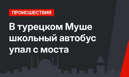 В турецком Муше школьный автобус упал с моста