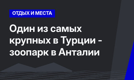 Один из самых крупных в Турции - зоопарк в Анталии