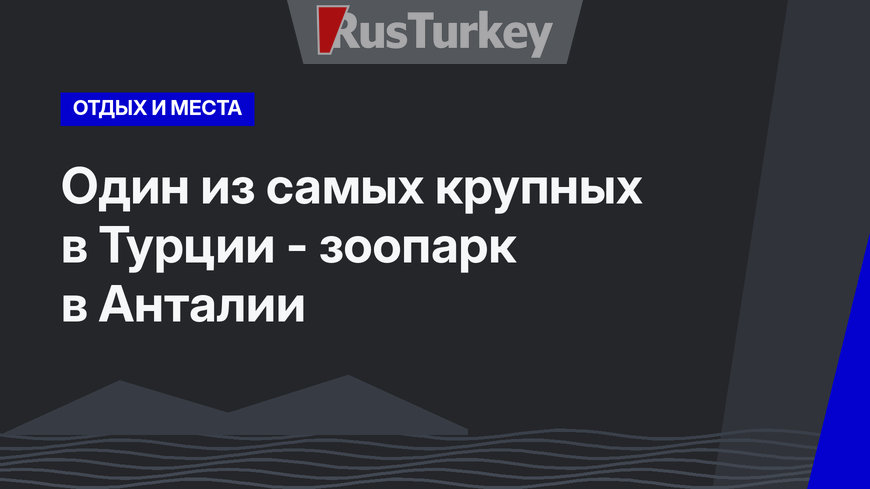 Один из самых крупных в Турции - зоопарк в Анталии
