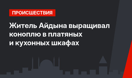 Житель Айдына выращивал коноплю в платяных и кухонных шкафах
