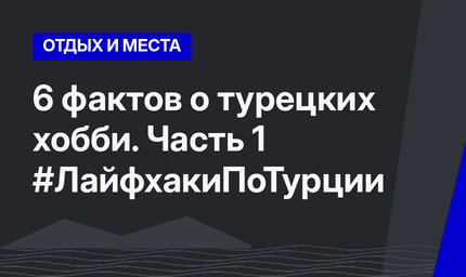 6 фактов о турецких хобби. Часть 1 #ЛайфхакиПоТурции