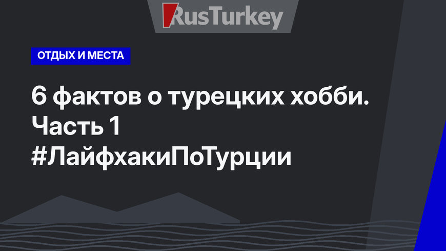6 фактов о турецких хобби. Часть 1 #ЛайфхакиПоТурции