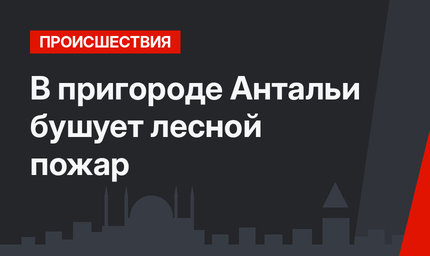 В пригороде Антальи бушует лесной пожар