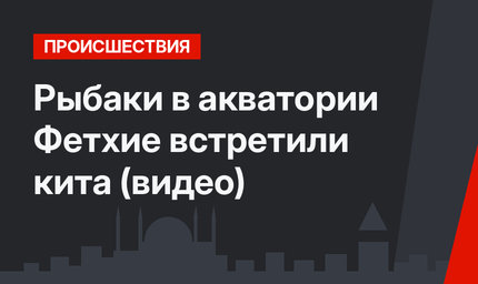 Рыбаки в акватории Фетхие встретили кита (видео)