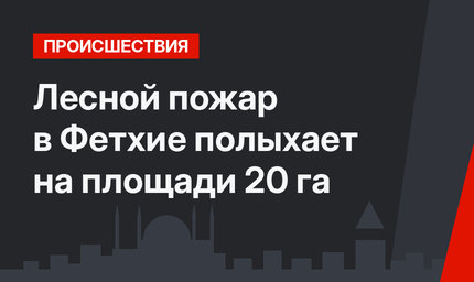 Лесной пожар в Фетхие полыхает на площади 20 га