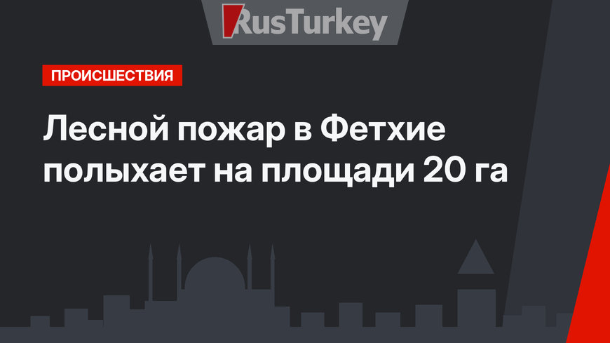 Лесной пожар в Фетхие полыхает на площади 20 га